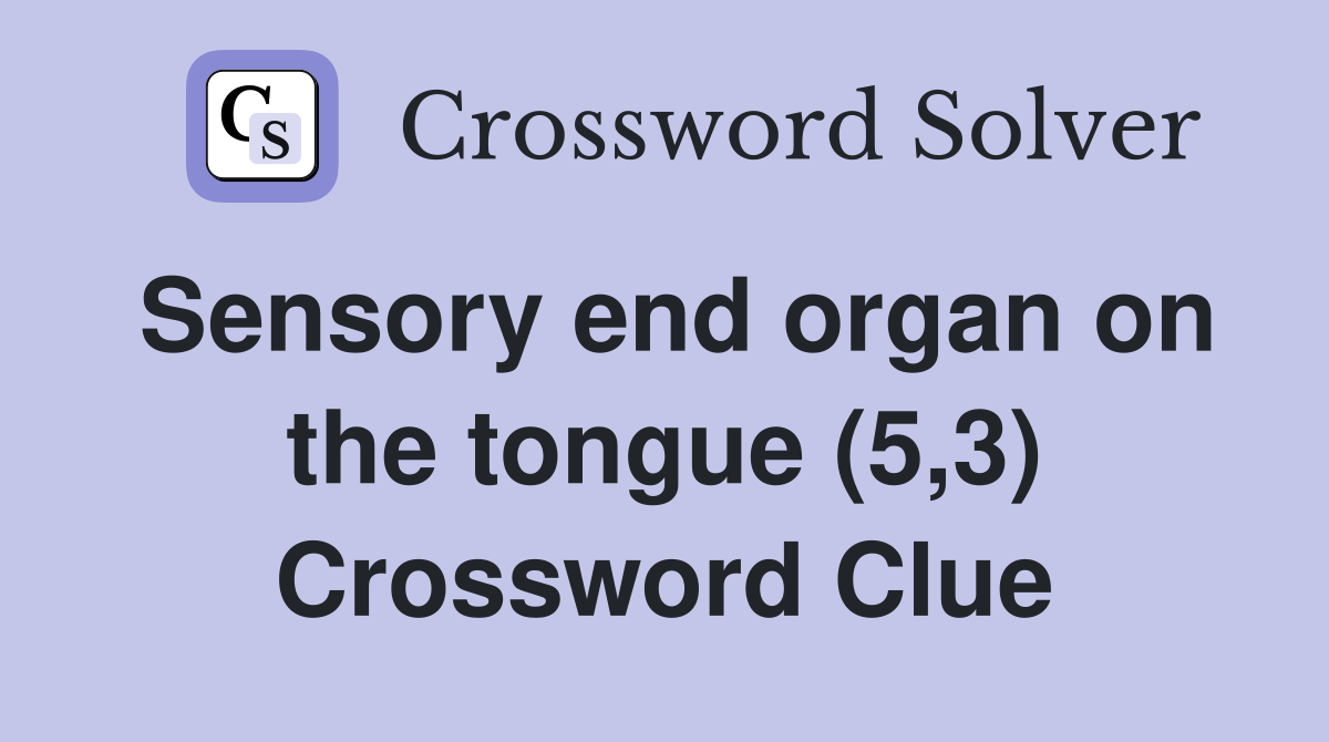 sensory-end-organ-on-the-tongue-5-3-crossword-clue-answers